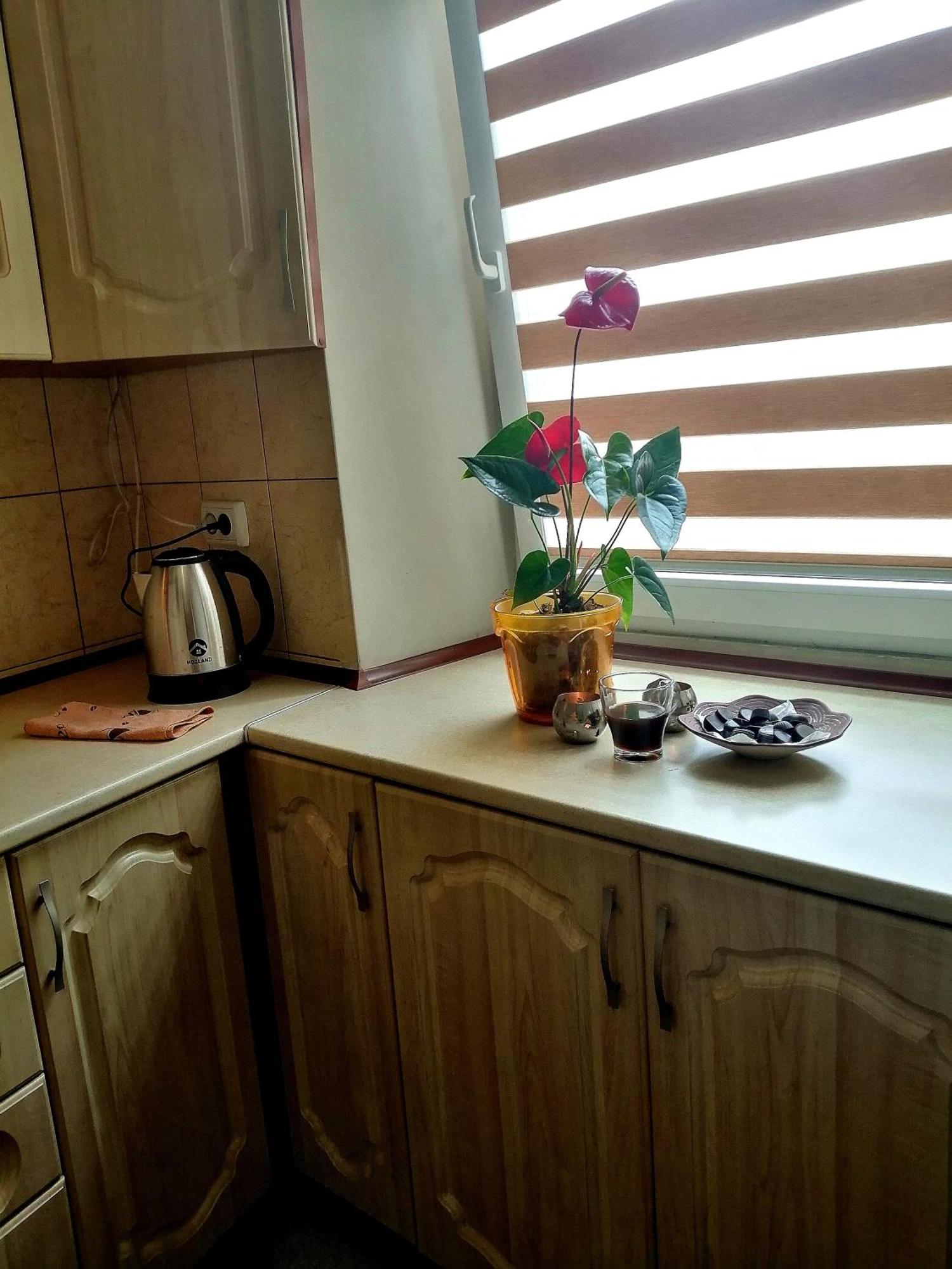 Flat On Sheptytskykh Lejlighed Lviv Eksteriør billede