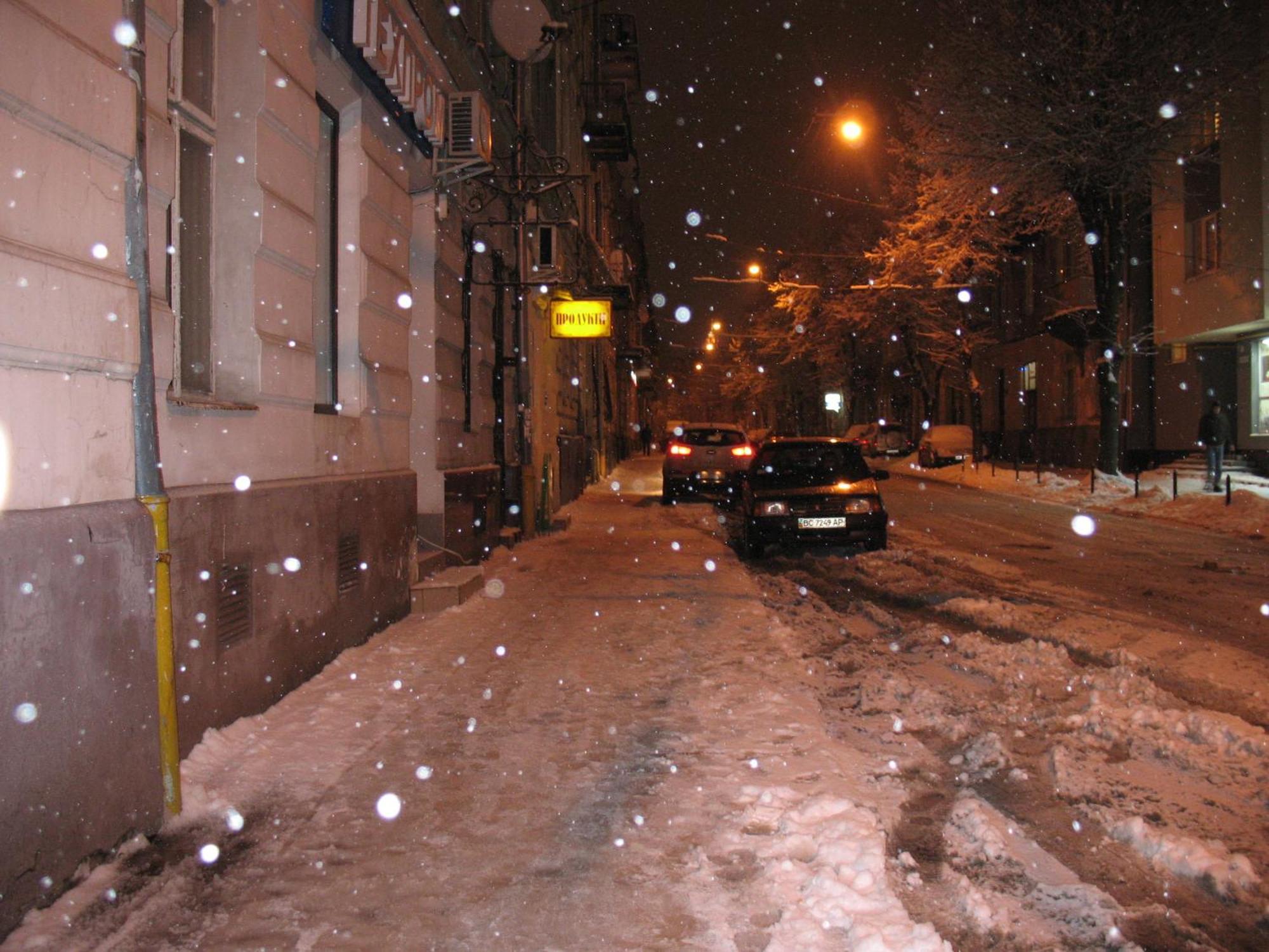 Flat On Sheptytskykh Lejlighed Lviv Eksteriør billede
